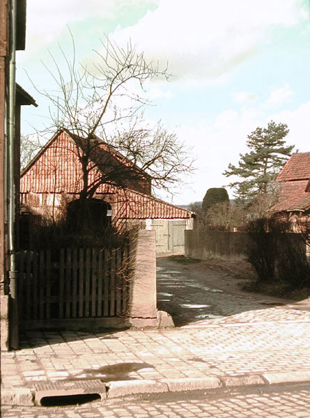 BlickZurMuehle.jpg