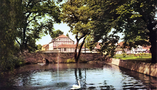 Burgteich.jpg