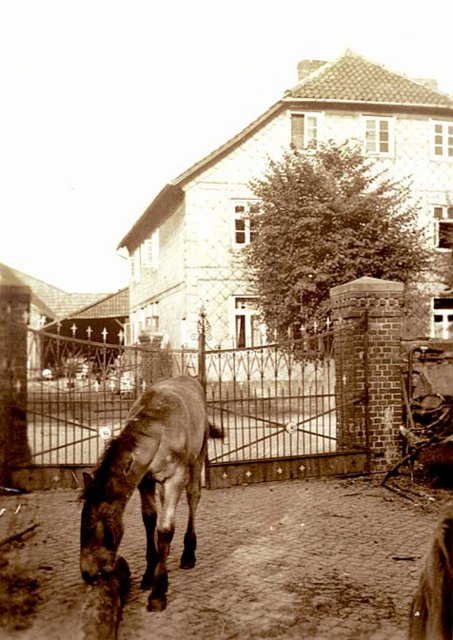 Renschh1.jpg