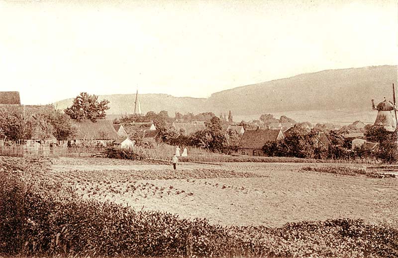 vomWoltweg1.jpg